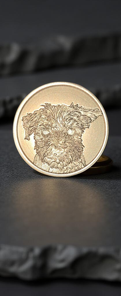 Moneda Comemorativa Personalizabila